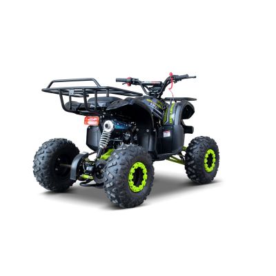 Vaikiškas benzininis keturratis WILDPEAK 110 cm3, Žalias