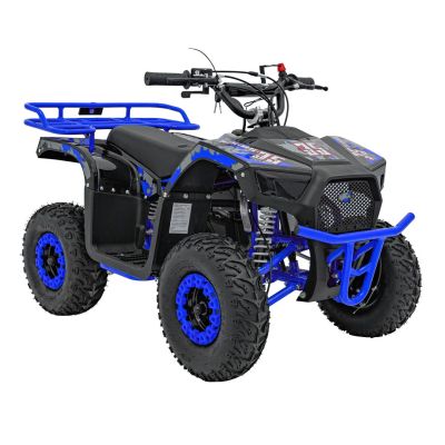 Vaikiškas benzininis keturratis SIRIUS 49CC, Mėlynas