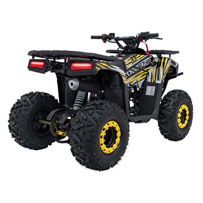 Vaikiškas benzininis keturratis DISCOVERER 120cc, Geltonas