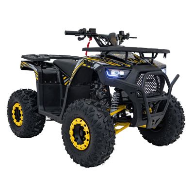 Vaikiškas benzininis keturratis DISCOVERER 120cc, Geltonas