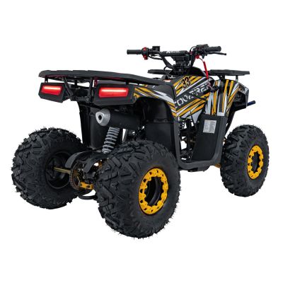Vaikiškas benzininis keturratis DISCOVERER 120cc, Oranžinis - 22