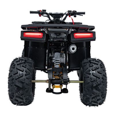 Vaikiškas benzininis keturratis DISCOVERER 120cc, Oranžinis - 24