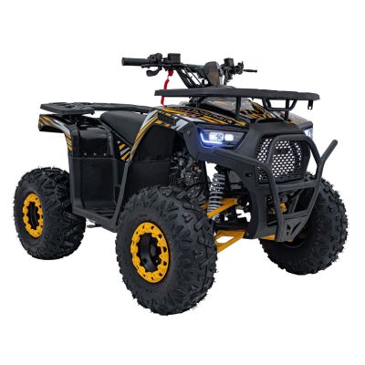 Vaikiškas benzininis keturratis DISCOVERER 120cc, Oranžinis - 3