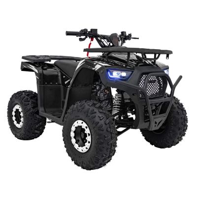 Vaikiškas benzininis keturratis DISCOVERER 120cc, Juodas - 8