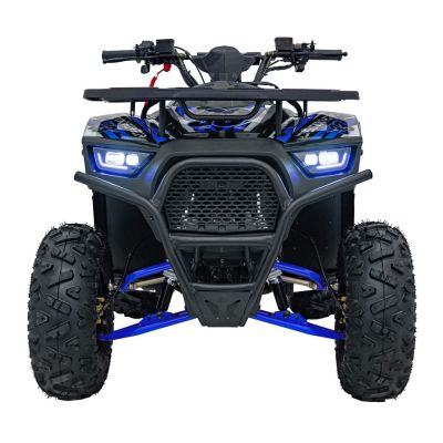 Vaikiškas benzininis keturratis DISCOVERER 120cc, Mėlynas