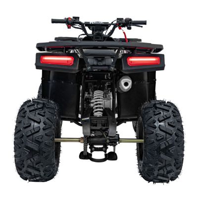Vaikiškas benzininis keturratis DISCOVERER 120cc, Mėlynas