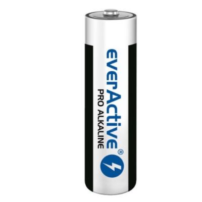 Baterijos everActive Pro Alkaline LR6 AA 10 vnt.