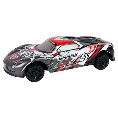 RC valdomas Sportinis automobilis 1:8, pilkos ir baltos spalvos - 2