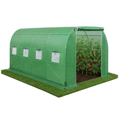 Daržovių auginimui skirtas folijinis tunelinis šiltnamis su langais 4x2,5x2 m, 10 m² - 2