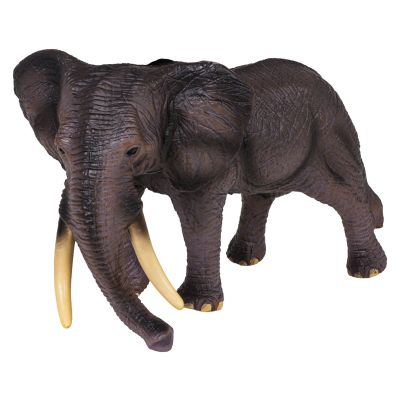 „Safari“ gyvūnų rinkinys, 12 vnt.