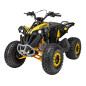 Benzininis keturratis RENEGADE HIPERFECT 125CC Geltonas