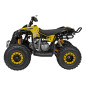 Benzininis keturratis RENEGADE HIPERFECT 125CC Geltonas