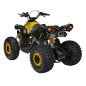 Benzininis keturratis RENEGADE HIPERFECT 125CC Geltonas