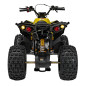 Benzininis keturratis RENEGADE HIPERFECT 125CC Geltonas