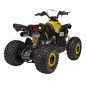 Benzininis keturratis RENEGADE HIPERFECT 125CC Geltonas
