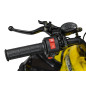 Benzininis keturratis RENEGADE HIPERFECT 125CC Geltonas