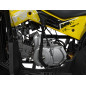 Benzininis keturratis RENEGADE HIPERFECT 125CC Geltonas