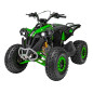Benzininis keturratis RENEGADE HIPERFECT 125CC žalias