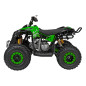 Benzininis keturratis RENEGADE HIPERFECT 125CC žalias