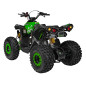 Benzininis keturratis RENEGADE HIPERFECT 125CC žalias