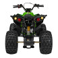 Benzininis keturratis RENEGADE HIPERFECT 125CC žalias