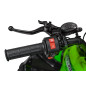 Benzininis keturratis RENEGADE HIPERFECT 125CC žalias