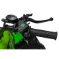 Benzininis keturratis RENEGADE HIPERFECT 125CC žalias