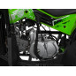 Benzininis keturratis RENEGADE HIPERFECT 125CC žalias