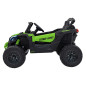 Transporto priemonė ATV CAN-AM Maverick Green