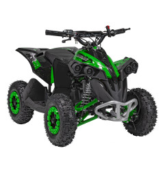 Vaikiškas benzininis keturratis RENEGADE HIPERFECT 49CC, Žalias