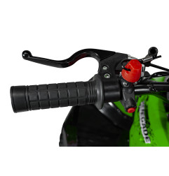Vaikiškas benzininis keturratis RENEGADE HIPERFECT 49CC, Žalias