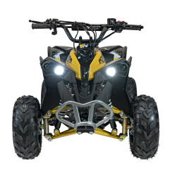 Vaikiškas benzininis keturratis RENEGADE HIPERFECT 110CC, Geltonas