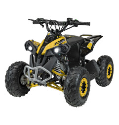 Vaikiškas benzininis keturratis RENEGADE HIPERFECT 110CC, Geltonas