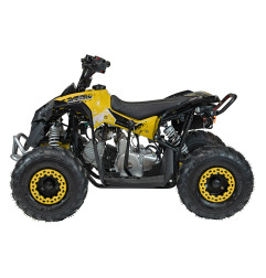 Vaikiškas benzininis keturratis RENEGADE HIPERFECT 110CC, Geltonas