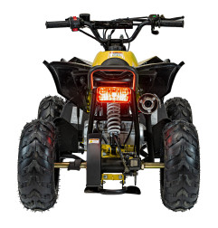 Vaikiškas benzininis keturratis RENEGADE HIPERFECT 110CC, Geltonas