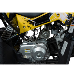 Vaikiškas benzininis keturratis RENEGADE HIPERFECT 110CC, Geltonas