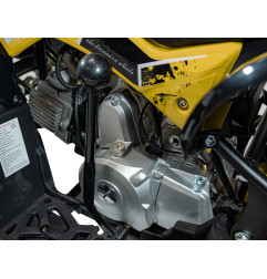 Vaikiškas benzininis keturratis RENEGADE HIPERFECT 110CC, Geltonas
