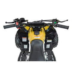 Vaikiškas benzininis keturratis RENEGADE HIPERFECT 110CC, Geltonas