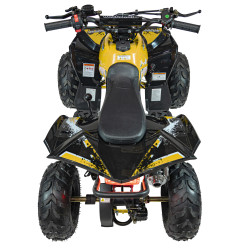 Vaikiškas benzininis keturratis RENEGADE HIPERFECT 110CC, Geltonas