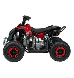 Vaikiškas benzininis keturratis RENEGADE HIPERFECT 110CC, Raudonas