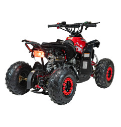 Vaikiškas benzininis keturratis RENEGADE HIPERFECT 110CC, Raudonas