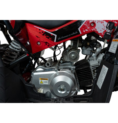 Vaikiškas benzininis keturratis RENEGADE HIPERFECT 110CC, Raudonas