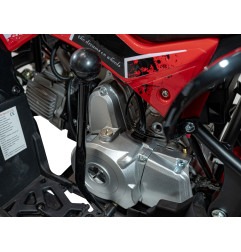 Vaikiškas benzininis keturratis RENEGADE HIPERFECT 110CC, Raudonas
