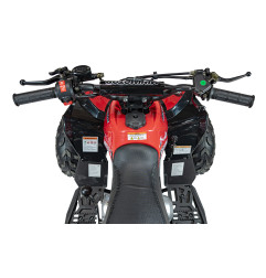 Vaikiškas benzininis keturratis RENEGADE HIPERFECT 110CC, Raudonas