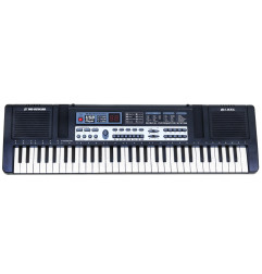 Vaikiškas sintezatorius klaviatūra pianinas MQ-829 USB