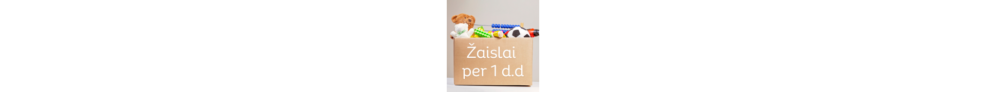Žaislai per 1 d.d